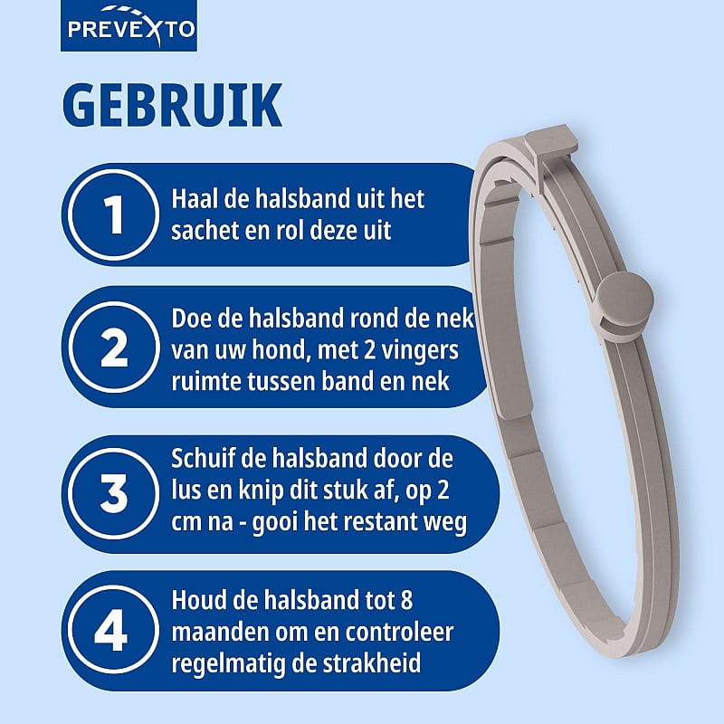 bracelet, halsband, polsband, neutraal, mechanisch
