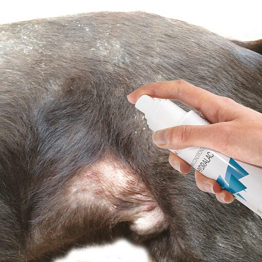 Maxani Hydralac Huidconditioner Spray 200 ml