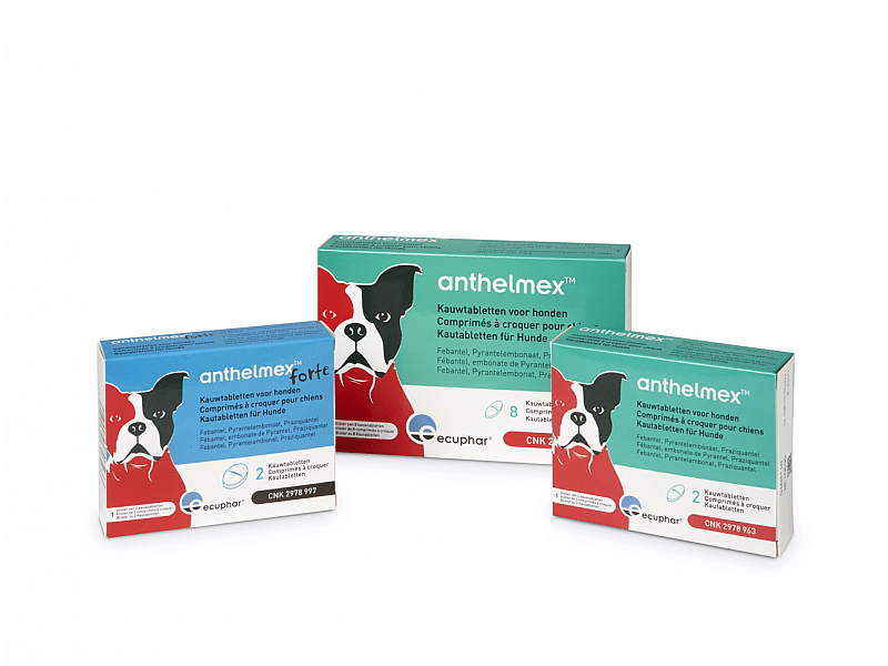Anthelmex Ecuphar Ontwormingstablet Hond 2 kauwtabletten