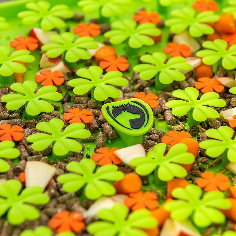 Excellent Snuffelmat Paard