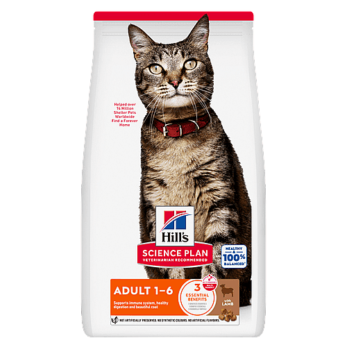 kat, kattenvoer, brokjes, adult 1-6, lams