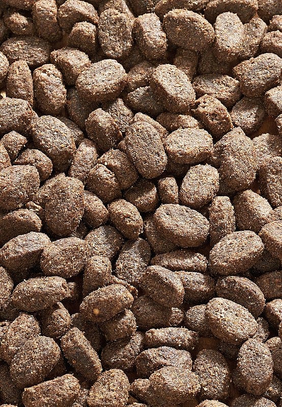 Vet-Concept Sana Buffel Hondenvoer 10 kg