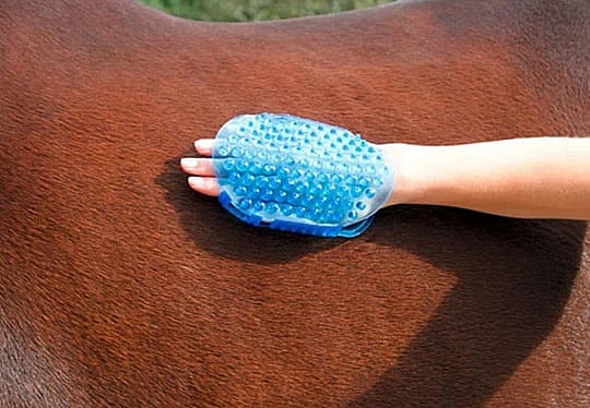 Borstel Magneet Massage Paard Paars