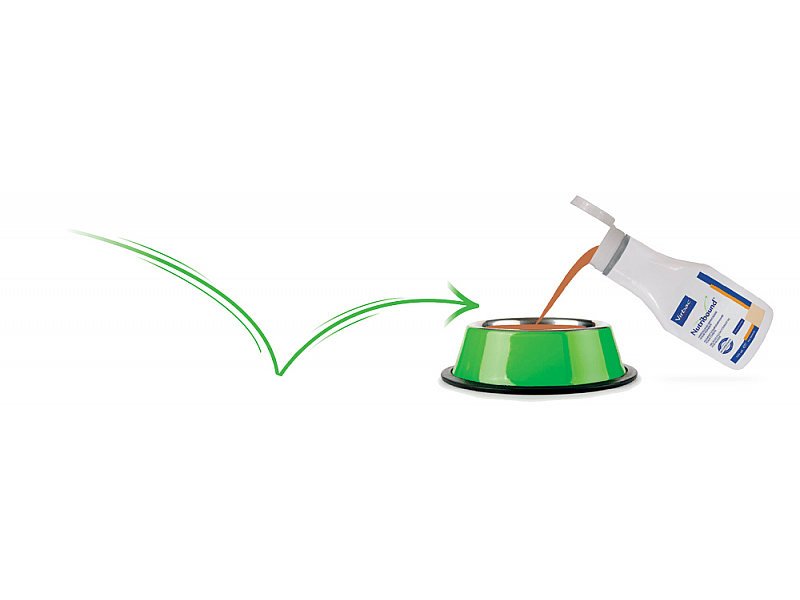 Nutribound Viyo Recuperation Hond 3 x 150 ml