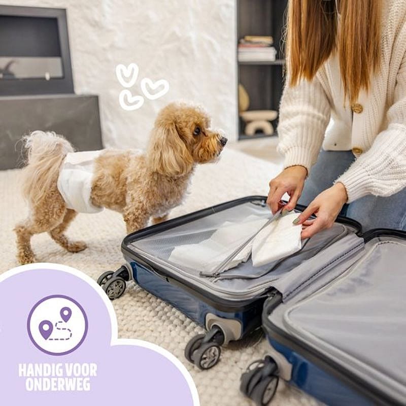 EasyPets Hondenluiers Reu Hond XS/S