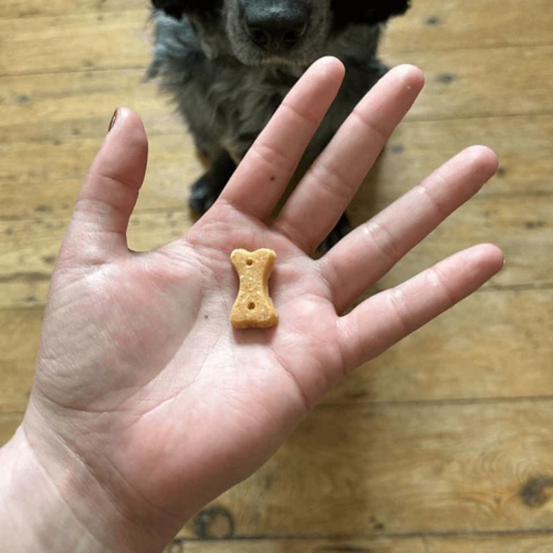 Beco Treats Peanut with Coconut & Turmeric 1 x 70 gram Hond