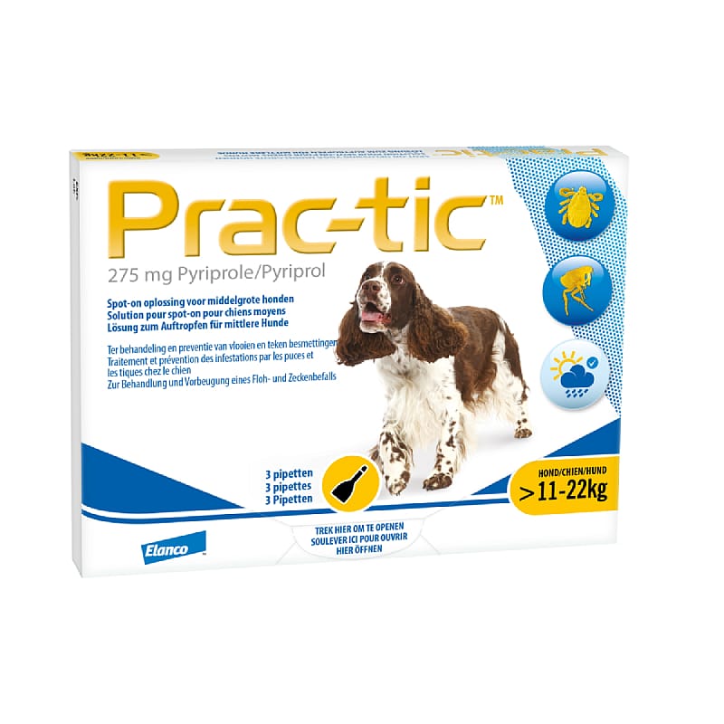 Prac-tic Hond Hond 11 tot 22 kg - 3 pipetten