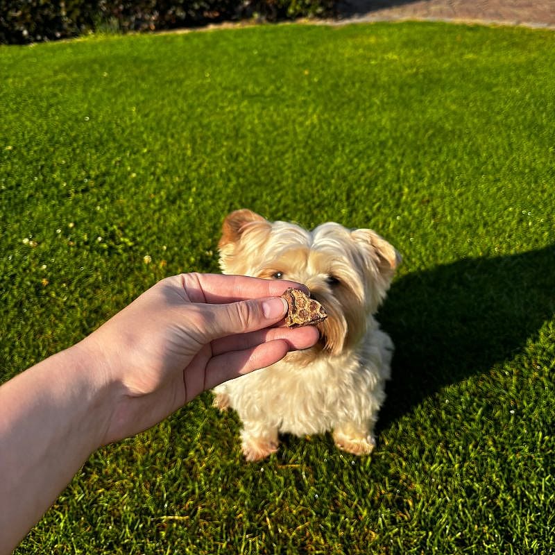 Dierapotheker Hertenlong Hond 400 gram