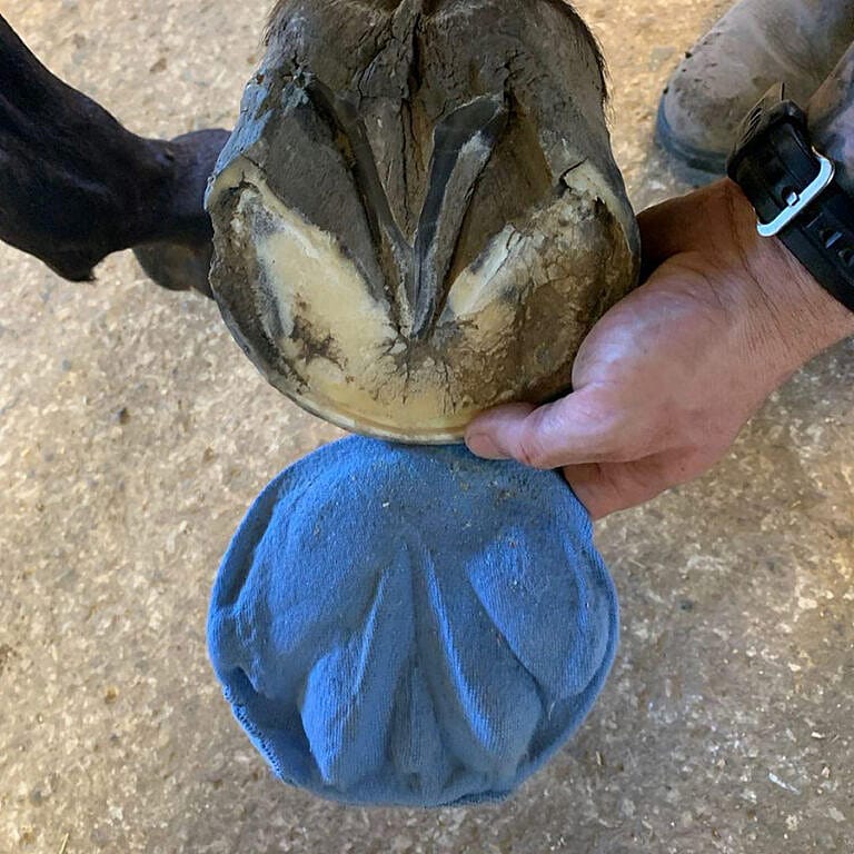 Paniolo Hoof Support Soft