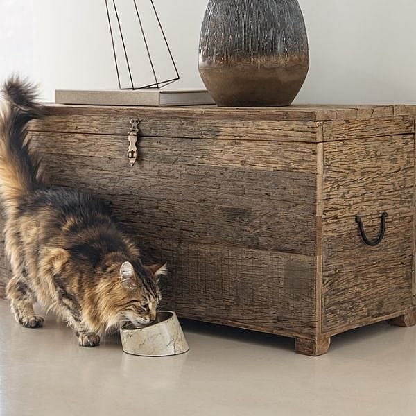 Designed by Lotte Melamine Eet- of Drinkbak Vita Kat Beige - Mat gouden RVS eetbak