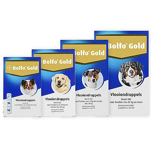 Bolfo Gold Hond
