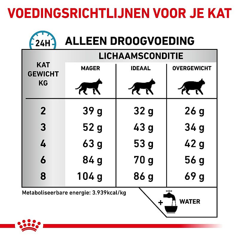 Royal Canin Anallergenic Kat 2 kg