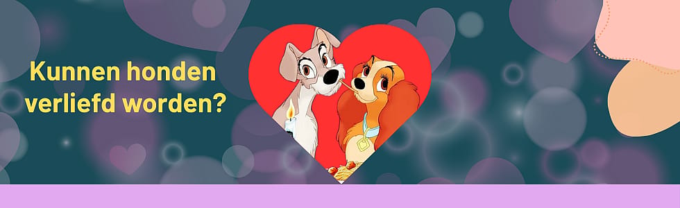 Kunnen_honden_verliefd_worden_Over_hondenhechting_en_datingfantasien_Main_Image_980x300px