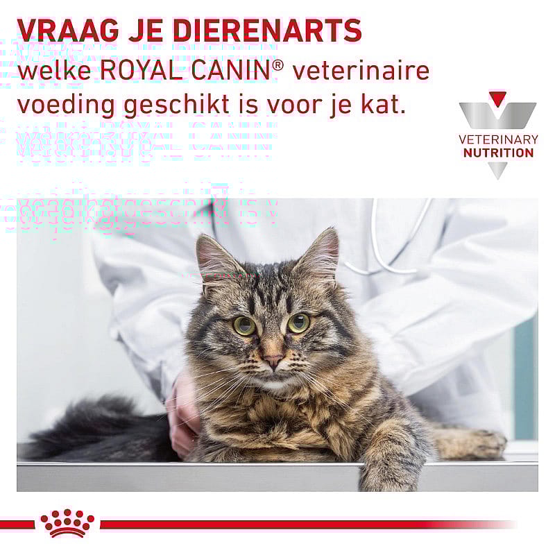 Royal Canin Gastrointestinal Moderate Calorie Kat 12 x 85 gram maaltijdzakjes