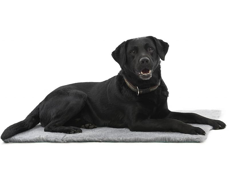 Vetbed Kruuse Antislip 102 x 76 cm