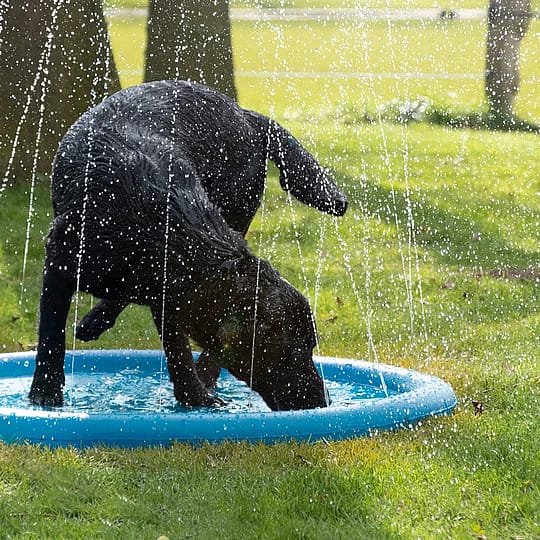 Coolpets Splash Pool Sproeier