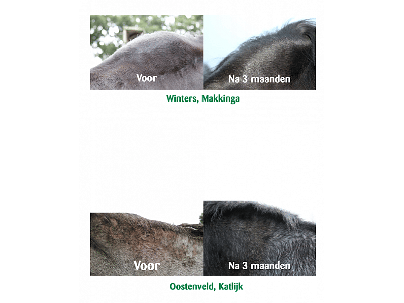 Vitalstyle Oerbalans Poeder Paard 4 kg