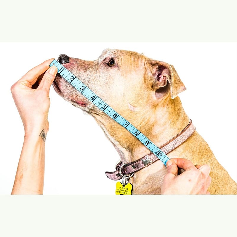 Comfy Cone Hondenkraag X-Small - Zwart