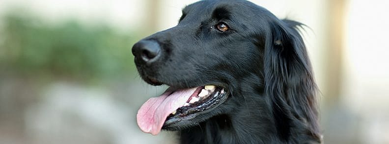 987d0dcea09c0ef0be26c5ef96707340