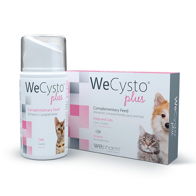 Wepharm WeCysto Plus 30 tabletten