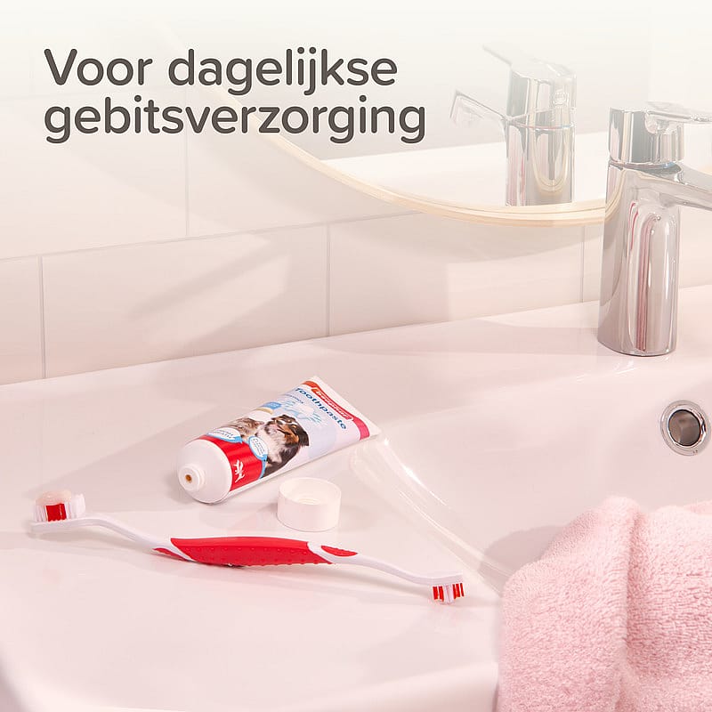 Beaphar Tandpasta en Tandenborstel 1 set