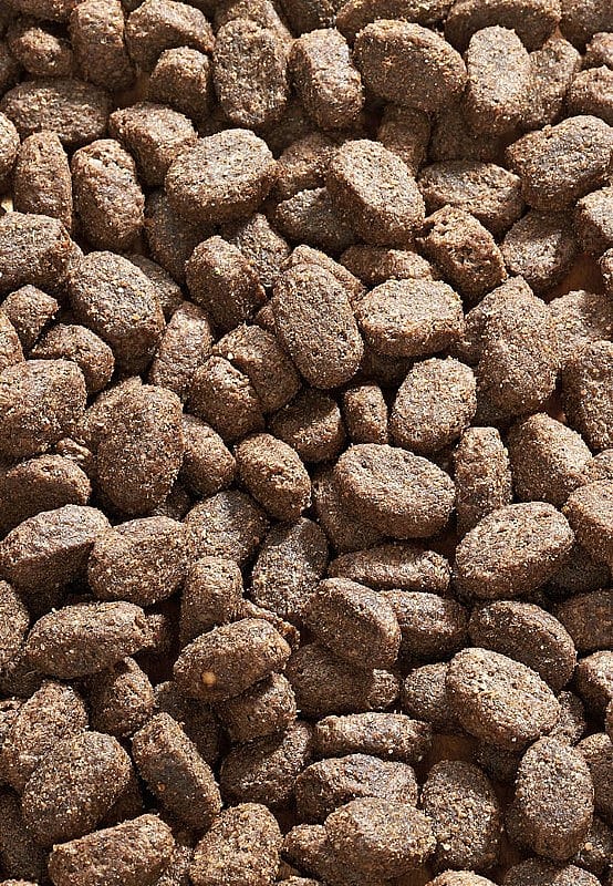 Vet-Concept Sensitive Diet Konijn Hondenvoer 3 kg