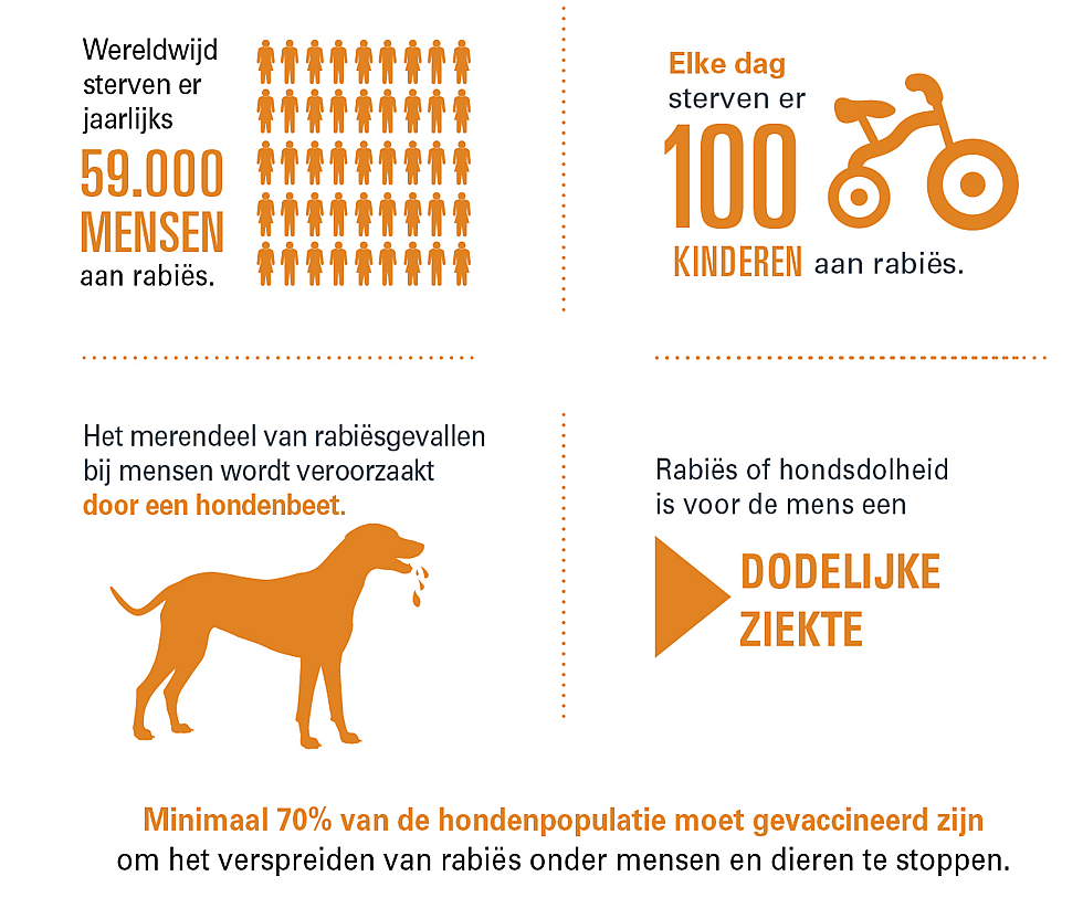 503ee561ed11768909fab2ba543fe0d9