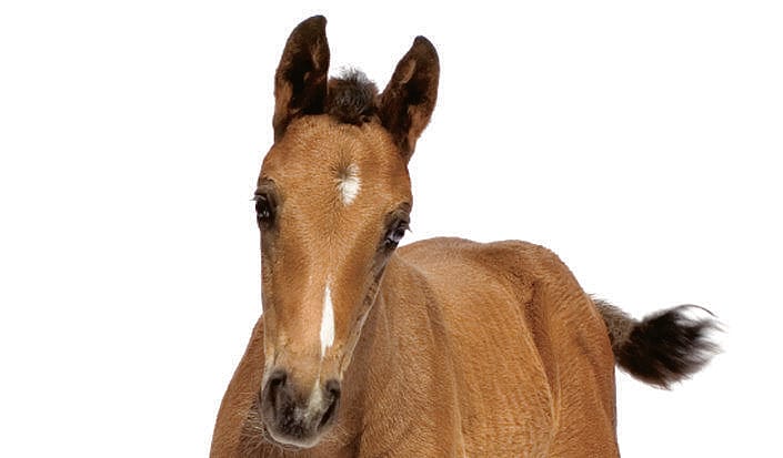 9b578e7bb50223420297242d3c79b4ad