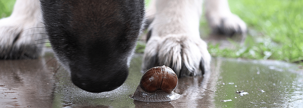 77f005c467e6ef7709af3086b80c225e