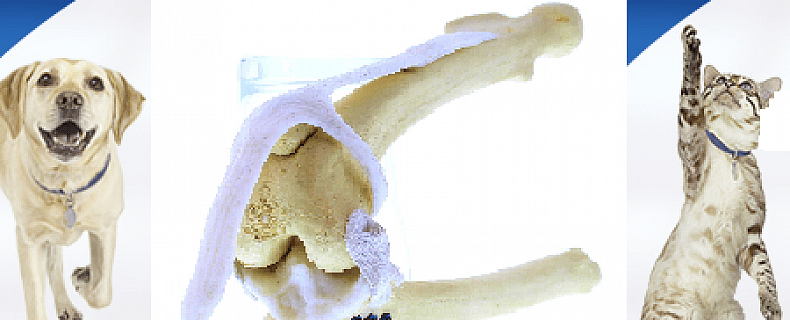 3b912e4d820f81405fa3f08cecc9dcb7