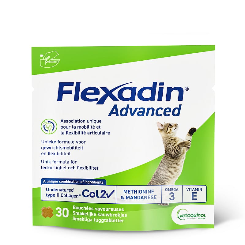 kat, tablet, bot, Omega-3, collageen