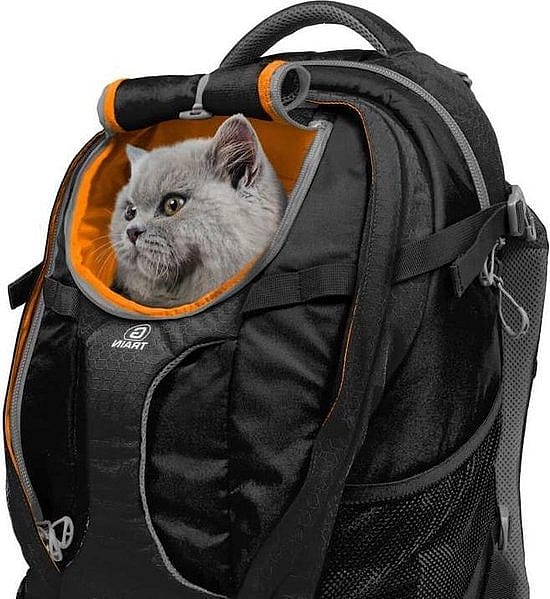 Kurgo G-Train Pack Rugzak Hond Black