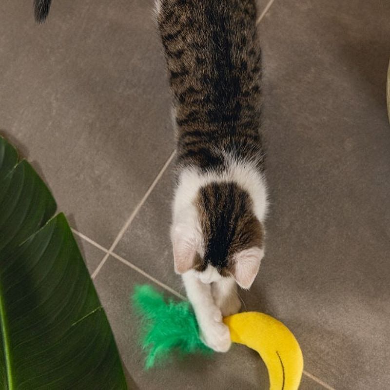 Beeztees Jungle Banaan Pluche Kat