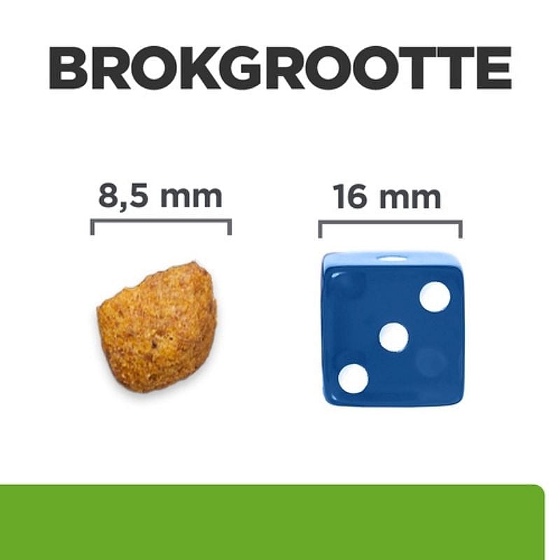 kegel, knikker, filmcade, brokgrootte, mop
