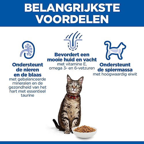 kat, honden/kat, kattensbrok, voedingssupplement, eiwitrijk