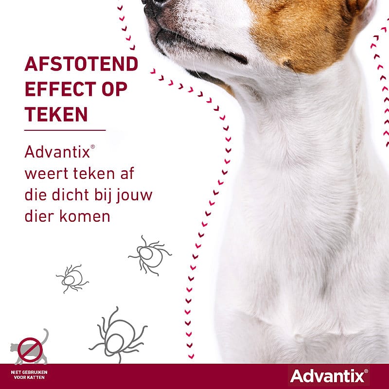 Advantix Spot-on Hond 6 pipetten - 40 - 60 kg - 600/3000