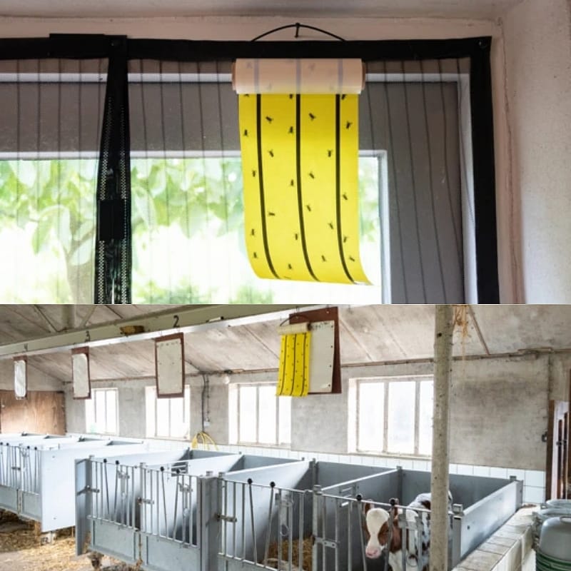 Knock Pest Vliegenkleefrol Geel 5 Meter