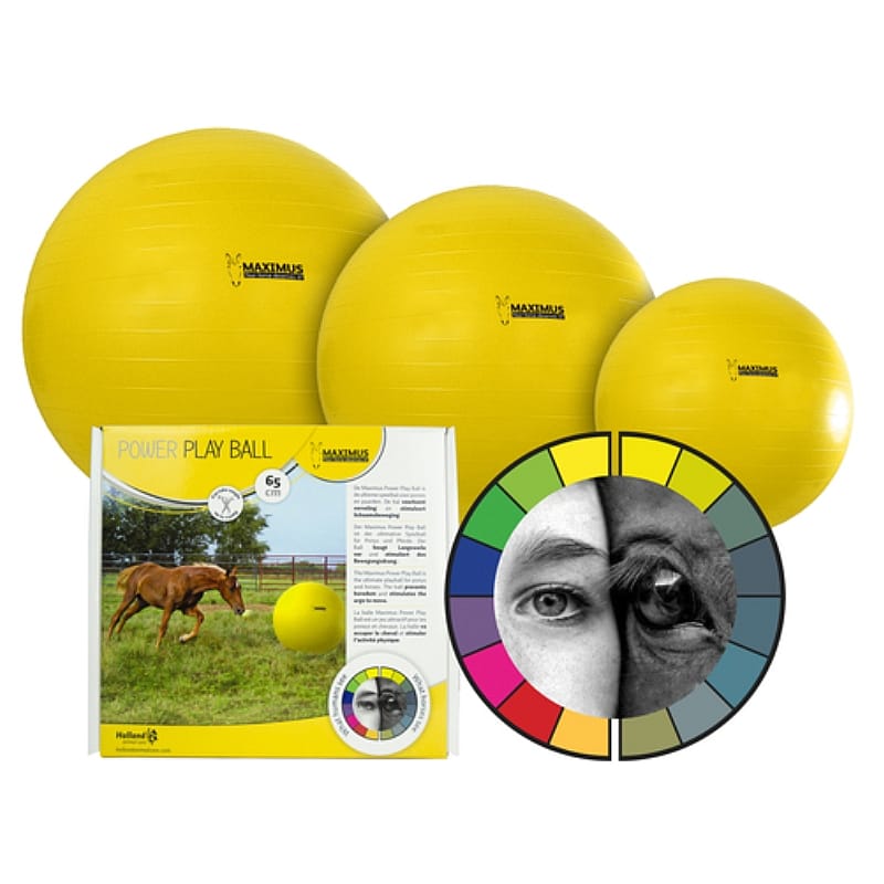 Maximus Power Play Ball Paard