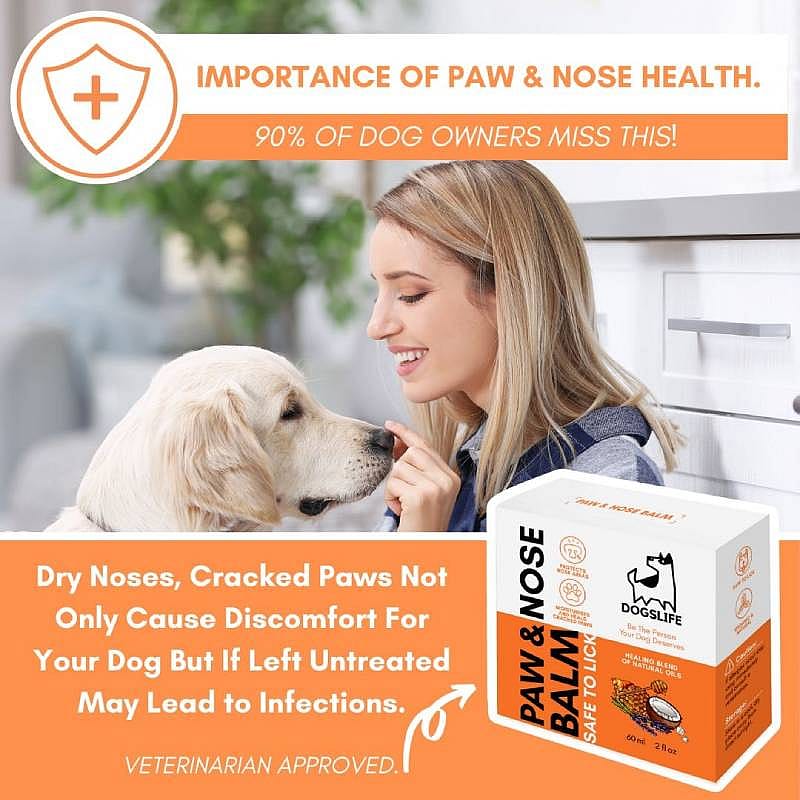 DogsLife Paw & Nose Balm Hond 60 ml