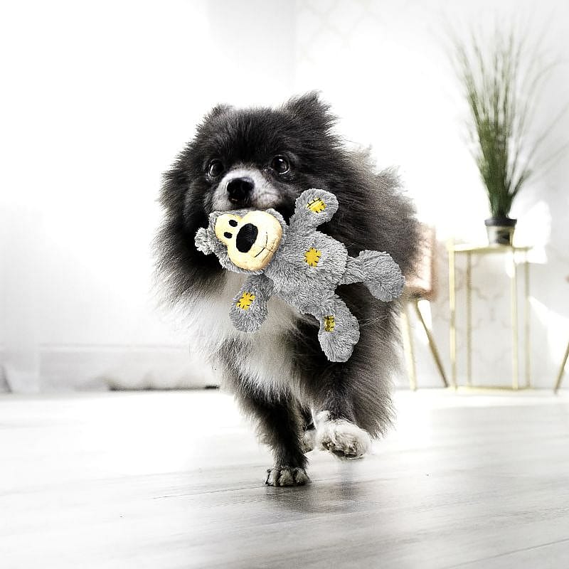 KONG Wildknots Bears XS