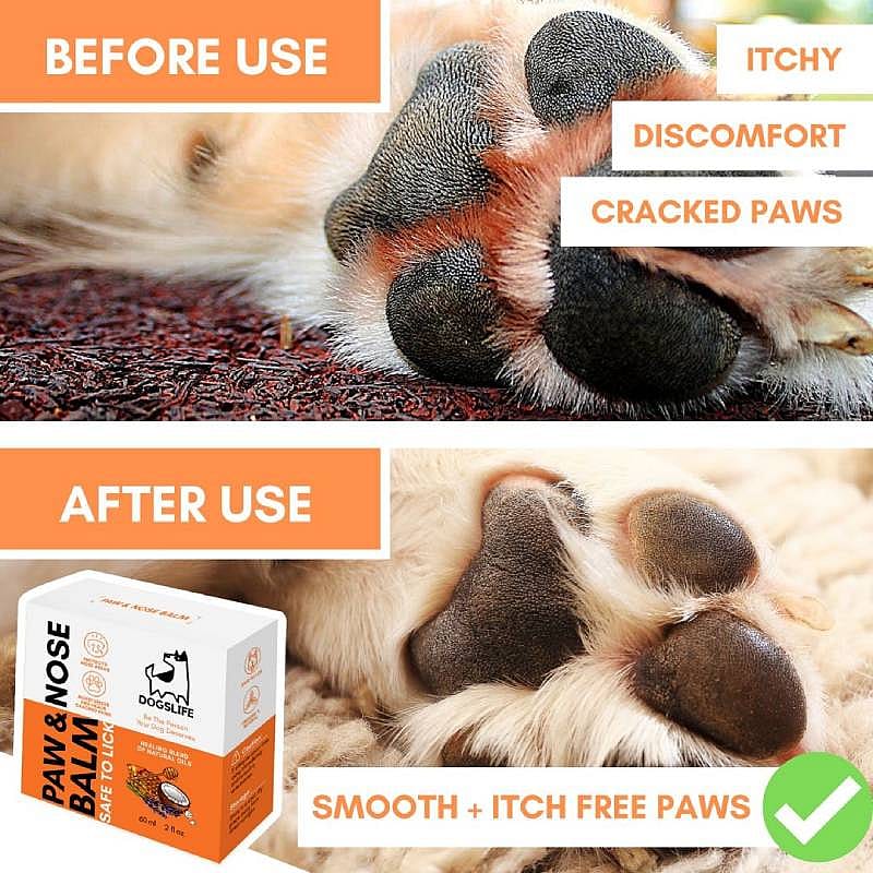 DogsLife Paw & Nose Balm Hond 60 ml