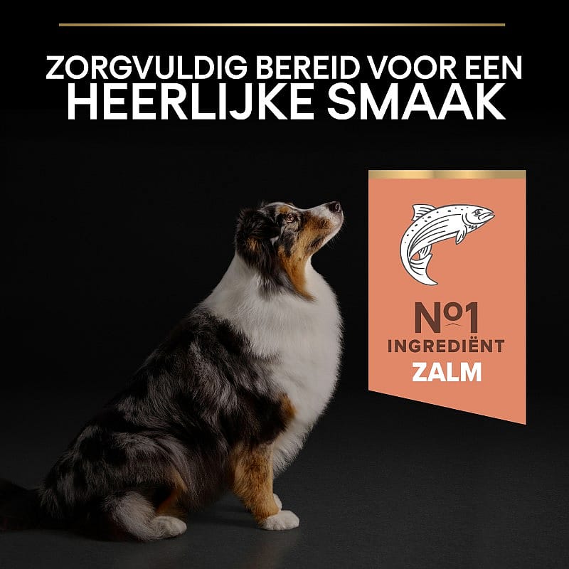 Purina Pro Plan Medium & Large Adult 7+ Sensitive Skin Hondenvoer Zalm 14 kg