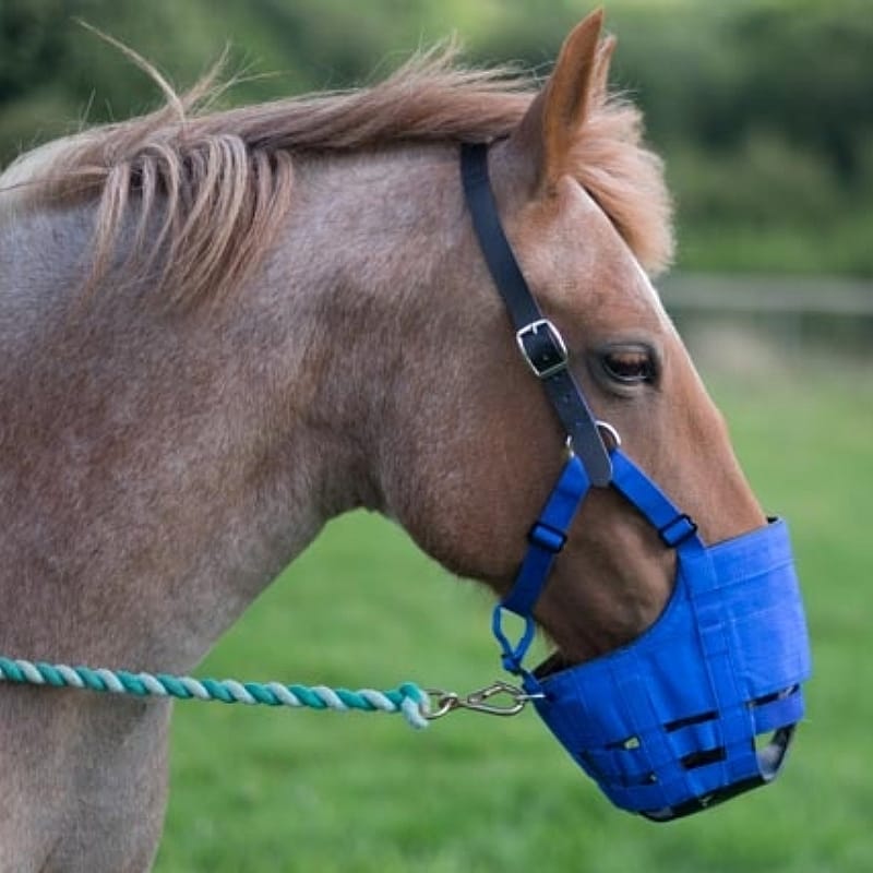 Anti Graas Masker The Ultimate Muzzle Volbloed  - 63 cm