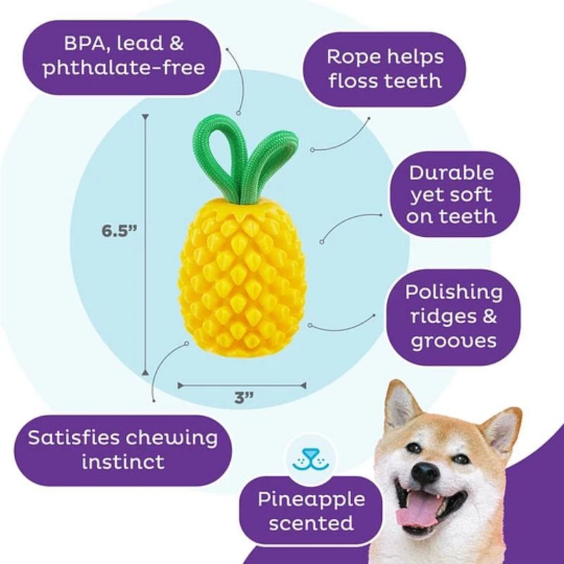 Outward Dental Pineapple Hond