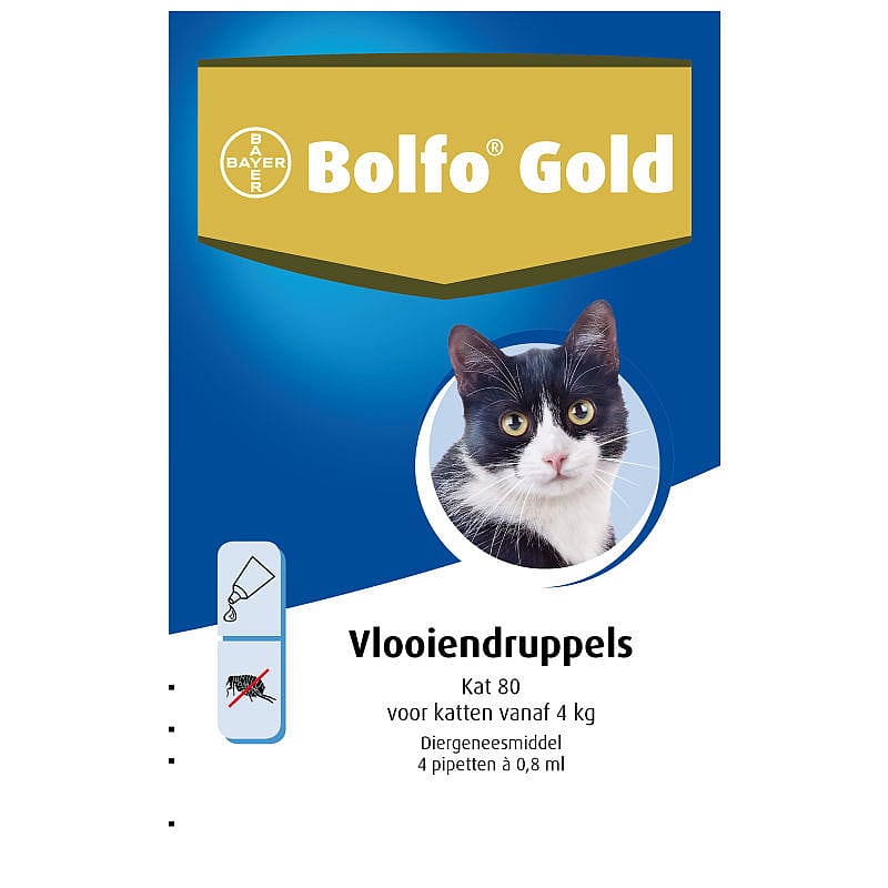 Bolfo Gold Kat Vanaf 4 kg - 4 pipetten - 80 mg