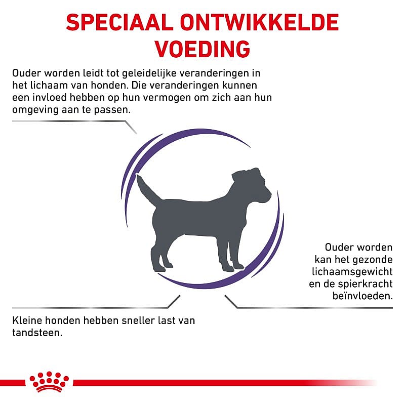 Royal Canin Mature Consult Small Dog