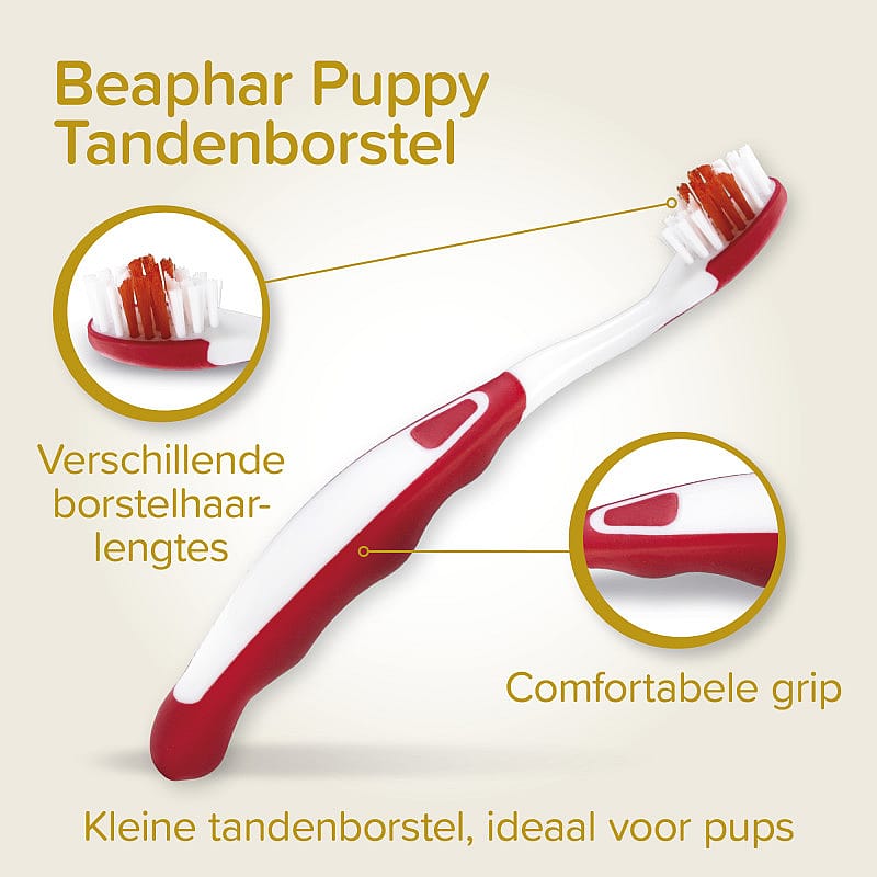 Beaphar Combi-Pack Puppy Tandpasta & Borstel