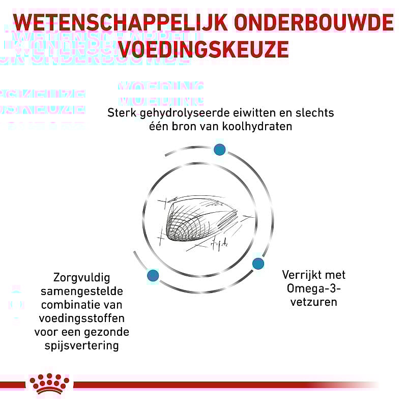 Royal Canin Hypoallergenic Kat