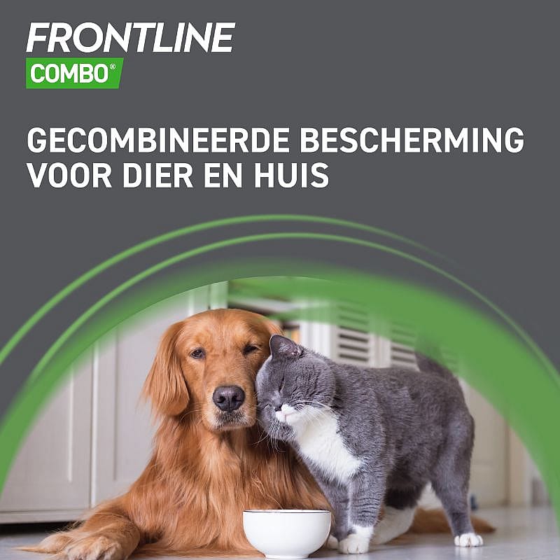 Hond, Golden Retriever, Zoogdier, Huisdier, Kat, Hond, Golden Retriever, Zoogdier, Huisdier, Kat, Hond, Golden Retriever, Zoogdier, Huisdier, Kat, Hond, Golden Retriever, Zoogdier, Huisdier, Kat, Hond, Golden Retriever, Zoogdier, Huisdier, Kat