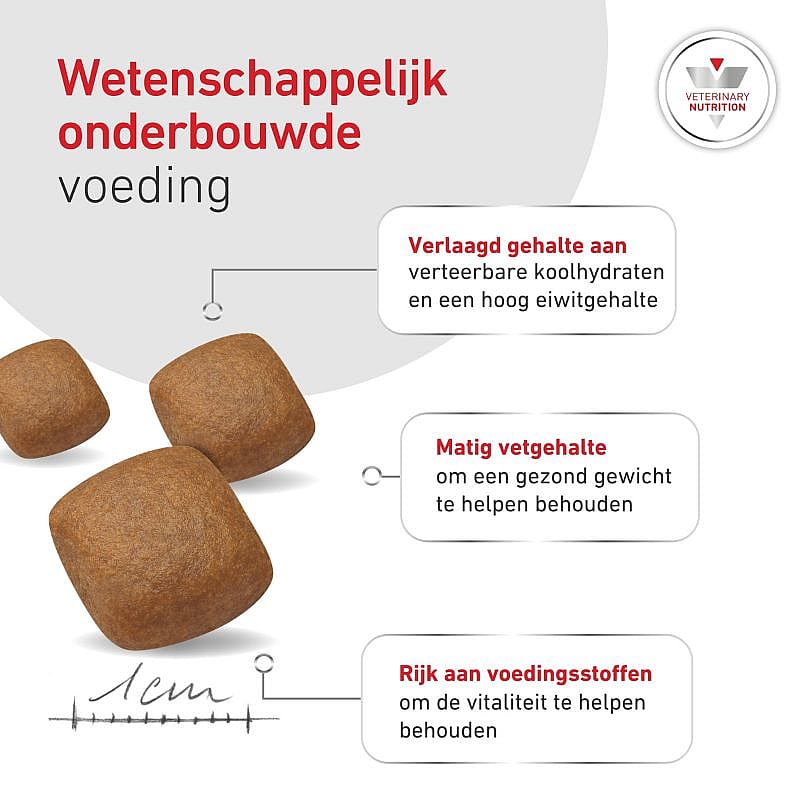 kibbles, droogvoer, brokjes, voeding, bolletjes